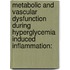 Metabolic and vascular dysfunction during hyperglycemia induced inflammation: