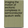 Imaging the motion of excitonic complexes in semiconductor quatum wells door F. Pulizzi
