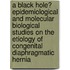 A Black Hole? Epidemiological and molecular biological studies on the etiology of congenital diaphragmatic hernia