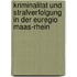 Kriminalitat und Strafverfolgung in der Euregio Maas-Rhein