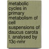 Metabolic Cycles In Primary Metabolism Of Cell Suspensions Of Daucus Carota L. Analysed By 13c-nmr door J. Krook