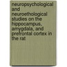 Neuropsychological and neuroethological studies on the hippocampus, amygdala, and prefrontal cortex in the rat by H. Maaswinkel
