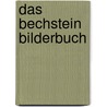 Das Bechstein Bilderbuch door C. Bechstein