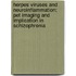 Herpes Viruses And Neuroinflammation: Pet Imaging And Implication In Schizophrenia