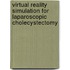 Virtual reality simulation for laparoscopic cholecystectomy