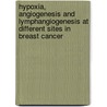 Hypoxia, angiogenesis and lymphangiogenesis at different sites in breast cancer door G.G.G.M. Van den Eynden