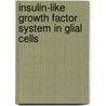 Insulin-like growth factor system in glial cells by D. Chesik