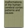 Malformations of the Human Cerebral Cortex: Patterns and causes by M.C.Y. de Wit