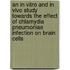 An in vitro and in vivo study towards the effect of Chlamydia pneumoniae infection on brain cells