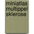 Miniatlas Multippel Sklerose