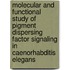 Molecular and functional study of pigment dispersing factor signaling in Caenorhabditis elegans