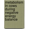 Metabolism in cows during negative energy balance door T. Murondoti