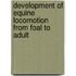 Development of equine locomotion from foal to adult