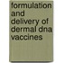 Formulation And Delivery Of Dermal Dna Vaccines