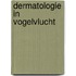 Dermatologie in vogelvlucht