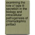 Examining The Role Of Type Iii Secretion In The Biology And Intracellular Pathogenesis Of Chlamydophila Psittaci