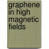 Graphene in high magnetic fields by Evgenia Viktorovna Kurganova