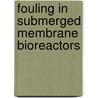 Fouling in submerged membrane bioreactors door Celine Huyskens