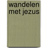 Wandelen met Jezus by Lucretia C.R. van der Loos