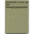 Anatomie in vivo van het bewegingsapparaat