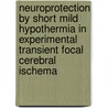 Neuroprotection by short mild hypothermia in experimental transient focal cerebral ischema door Tine Zgavc