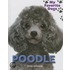 Poodle