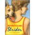 Strider
