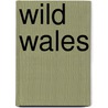 Wild Wales by George Henry Borrow