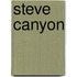 Steve Canyon