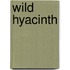 Wild Hyacinth