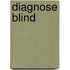 Diagnose blind