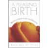 A Pleasing Birth door Raymond de Vries