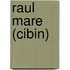 Raul Mare (Cibin)