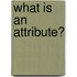 What Is An Attribute?