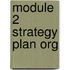 Module 2 Strategy Plan Org