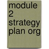 Module 2 Strategy Plan Org door Buller/Schuler