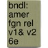 Bndl: Amer Fgn Rel V1& V2 6E