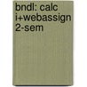Bndl: Calc I+Webassign 2-Sem door Larson
