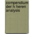 Compendium Der H Heren Analysis