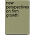 New Perspectives on Firm Growth