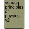 Ssm/sg Principles Of Physics V2 by McGrew