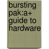 Bursting Pak:A+ Guide to Hardware door Virginia Andrews