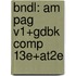 Bndl: Am Pag V1+Gdbk Comp 13E+At2E