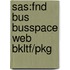 Sas:Fnd Bus Busspace Web Bkltf/Pkg