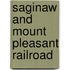 Saginaw and Mount Pleasant Railroad