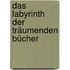 Das Labyrinth der träumenden Bücher