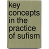 Key Concepts in the Practice of Sufism door M. Fethullah Gulen
