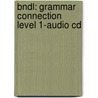 Bndl: Grammar Connection Level 1-Audio Cd door Sokolik