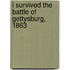 I Survived the Battle of Gettysburg, 1863