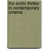 The Erotic Thriller in Contemporary Cinema